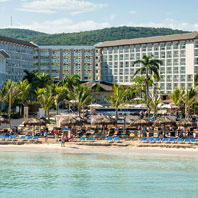 Image Alternative text